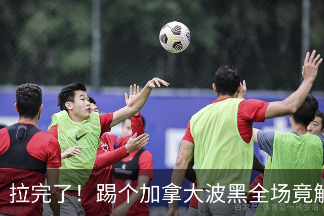 拉完了！踢个加拿大波黑全场竟解围71次 史上第四尴尬